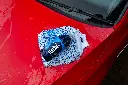 F. Bathe+ _18.webp