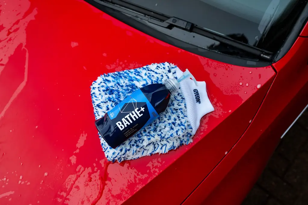 F. Bathe+ _18.webp